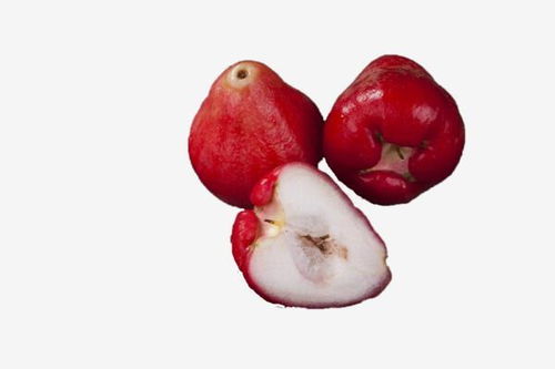 水润多汁的莲雾 天然健康的美食之选