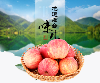 万荣县恒运源果品专业合作社 专业蔬菜零售服务