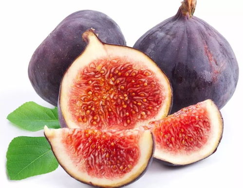 中秋养生佳肴 杨志敏教授推荐果品炖鸡，温润团圆好滋味