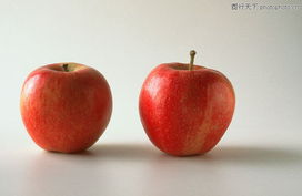 果中百味 从经典图库走进缤纷水果世界