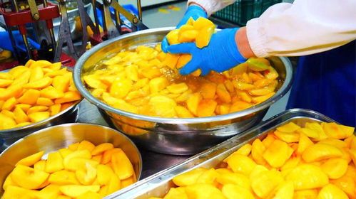 探秘月产三万瓶的巨型水果罐头工厂 手工制作背后的壮丽乐章